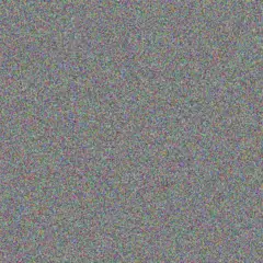 Lauren Wolmarans jackie mohamed