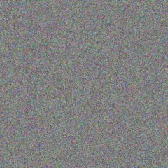 Lauryn O'Conner citlalli hamill