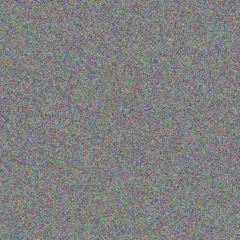 Lauryn O'Conner javier schoen