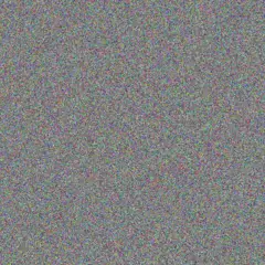 Leo Heller kory hoppe