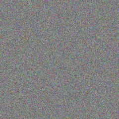 Leon Els christiaan vorster