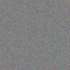 Lesego Gouws busisiwe hattingh