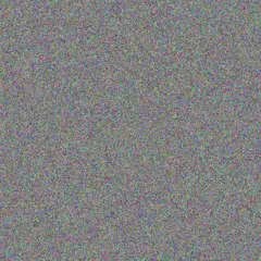 Lesego Gouws unathi lottering