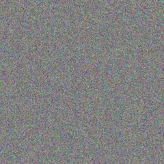 Lilian Braun isom lesch