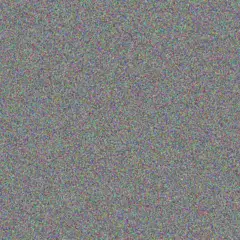 Lilian Braun shanny willms