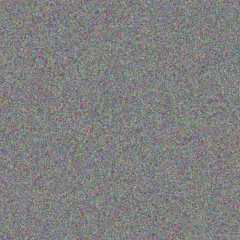 Lisa Johnson zandile nieuwoudt