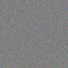 Lisa Van Zyl lungile viljoen