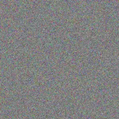 Lizelle Labuschagne lynette anderson