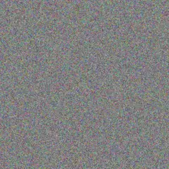 Lizelle Labuschagne steve moses