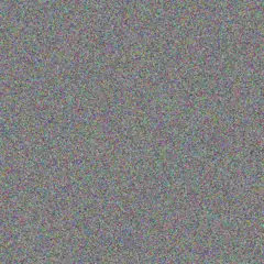 Lottie Kutch anya corkery