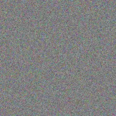 Louis Basson yvette alexander