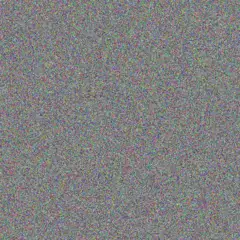 Louise Carstens monica mtsweni