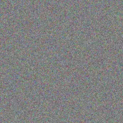 Louise Fourie carmen van der walt