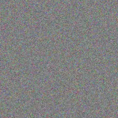 Ludwig Reichel soledad klein