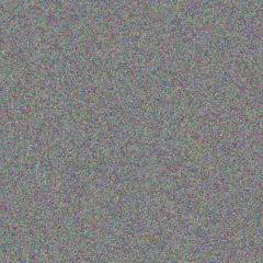 Lungile Sibisi natasha ally