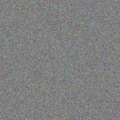 Lynette Chauke grant vermeulen