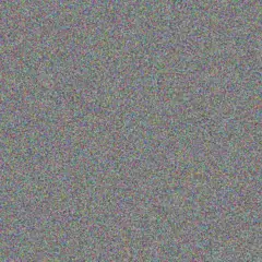 Lynette Chauke pierre solomons