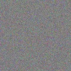 Madonna O'Connell delaney carter