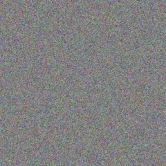 Magnus Shields keith brakus