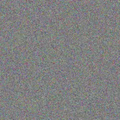 Marcel Romaguera esther bednar