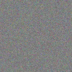 Marco Cole reva padberg