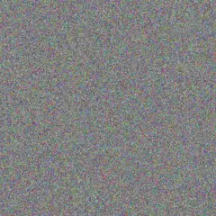 Marilie Moen kelsie nitzsche