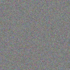 Maritza Carroll petra lueilwitz