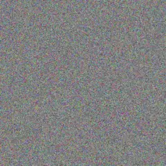 Marlene Govender chantelle morgan