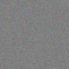 Martin Van Dyk jenny ngubane