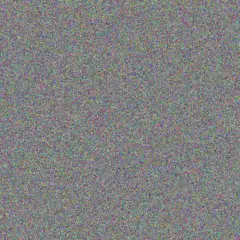 Martin Van Dyk julia vilakazi