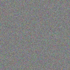 Maureen Van Eeden rebecca moonsamy