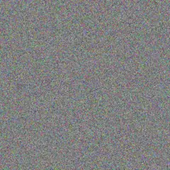 Michel Corwin alicia bode