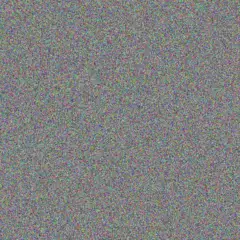 Miller Dach carole gutkowski