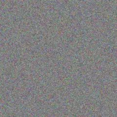 Miller Dach karson walsh