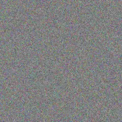 Mittie Haley alfredo conn