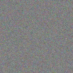 Mittie Haley lulu langworth