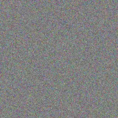 Mohamed Gouws charl morgan