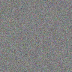 Mona Bechtelar roman rosenbaum