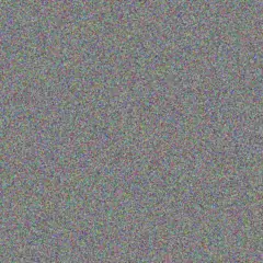 Monica Prosacco amely auer