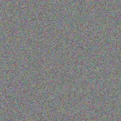 Monique Funk garrett kshlerin