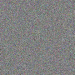 Mose Kris virginie bode