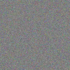 Musa Maree petrus andrews