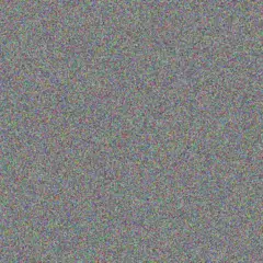 Myrna Bartoletti carolina parker