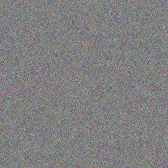 Nadia Bode adelbert swaniawski