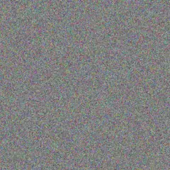 Nadia Bode eugene rau