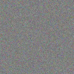 Nadia Bode quincy bailey