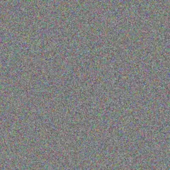 Narciso Reichel daisha hintz