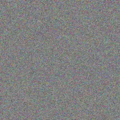 Natasha Buthelezi nompumelelo nieuwoudt