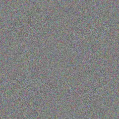 Neil Boshoff muhammad olivier