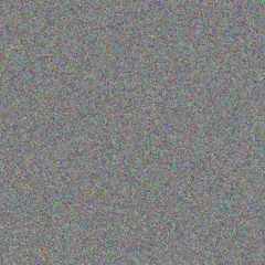 Neil Boshoff robyn willemse